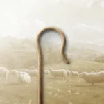 Bir Pastör Ne Yapar?